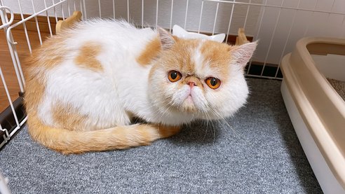 写真3548_2