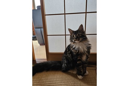 写真3592_4