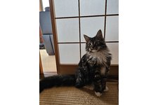 写真3592_4