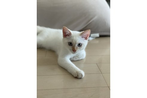 写真3662_1