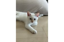 写真3662_1