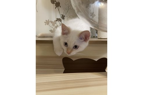 写真3662_3