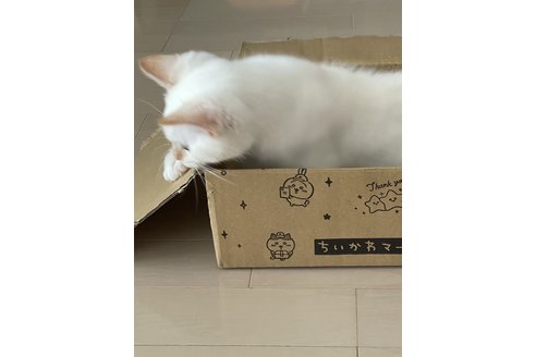 写真3662_4