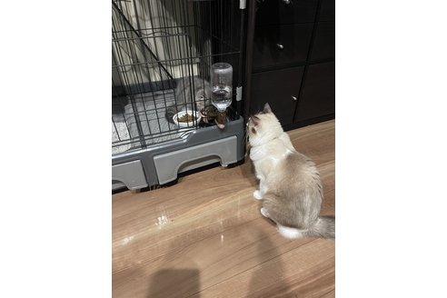 写真3698_3