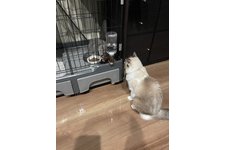 写真3698_3