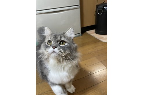 写真3749_1