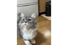 写真3749_1