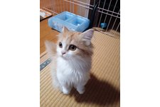 写真3790_1