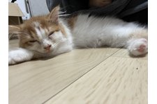 写真3879_3