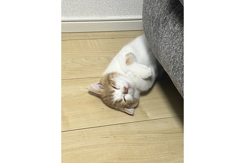 写真3908_2