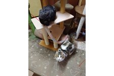 写真3939_2