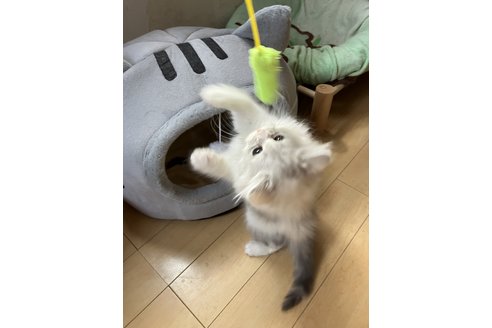 写真4425_1