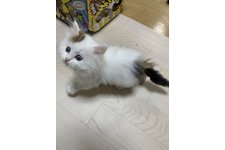 写真4965_4