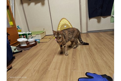 写真5024_3