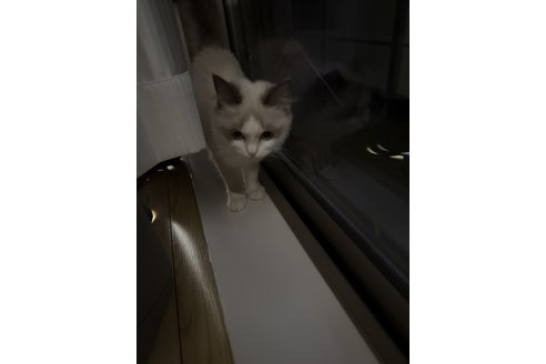 写真5056_1