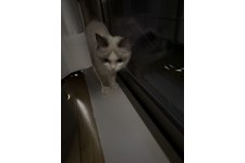 写真5056_1