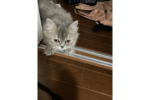 写真5081_1