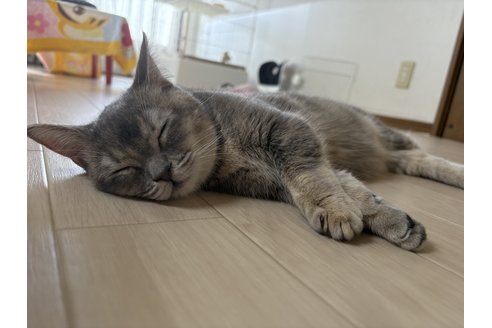 写真5182_2