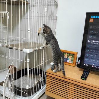 写真5188_3