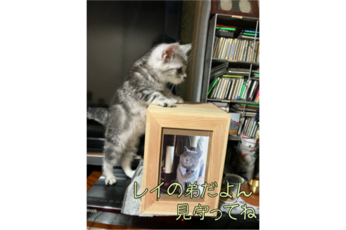 写真5237_1