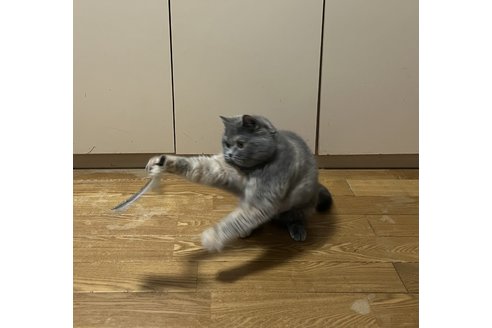 写真5261_1