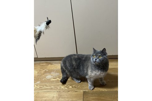 写真5261_2