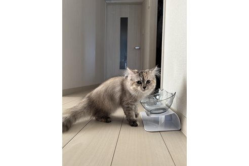 写真5279_4