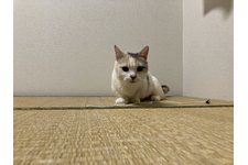 写真5283_1