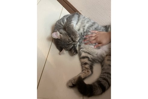 写真5310_1