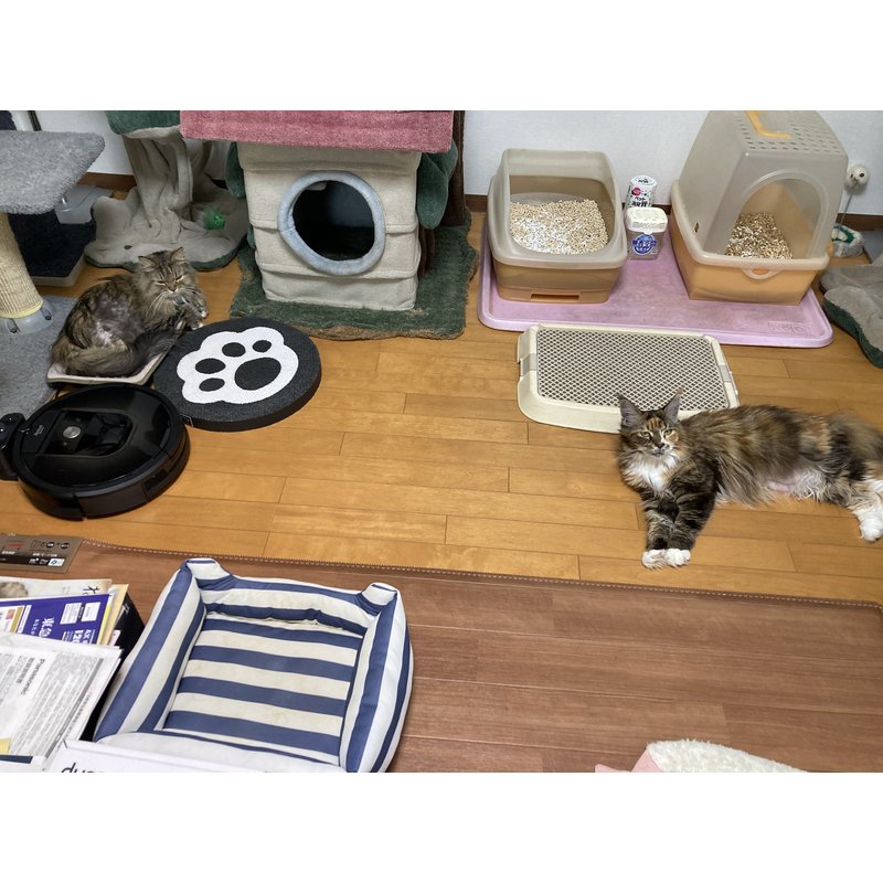 写真5326_2