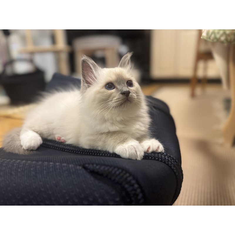 写真5339_2