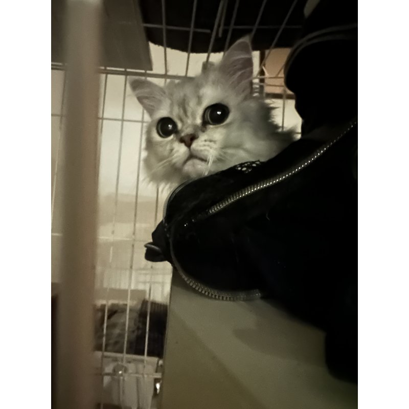 写真5346_1