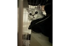 写真5346_1