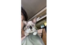写真5349_1