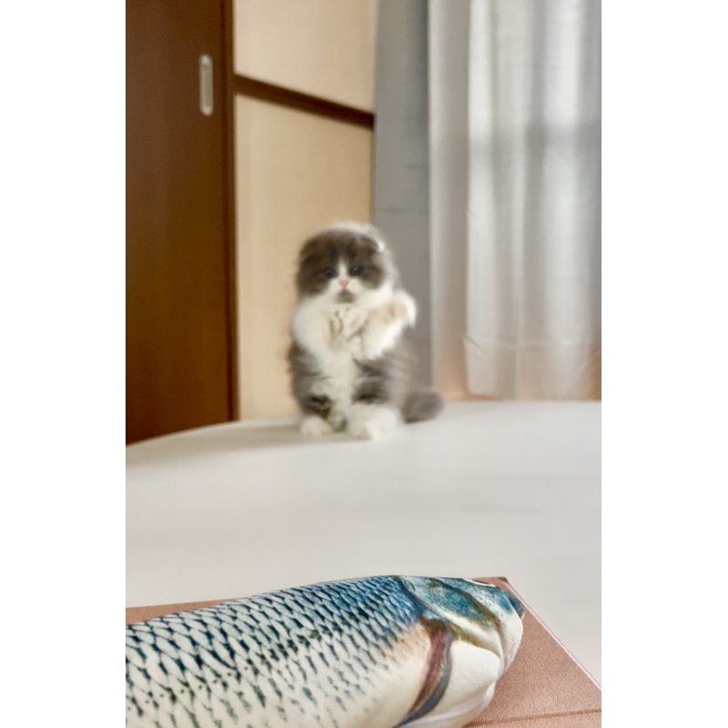 写真5359_2
