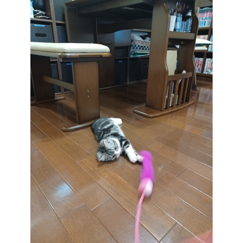 写真5426_3