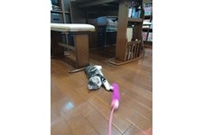 写真5426_3