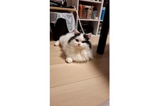 写真_2