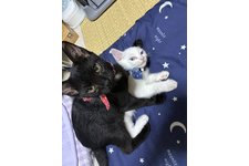 写真5454_2