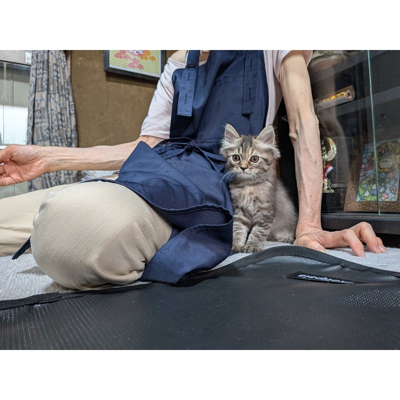 写真5465_1