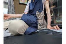 写真5465_1