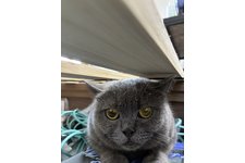 写真5467_1