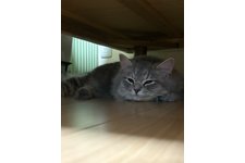 写真5490_1