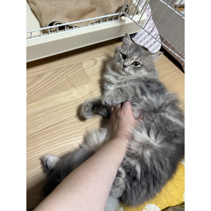 写真5490_2
