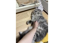 写真5490_2