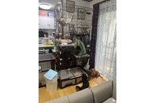 写真5499_1