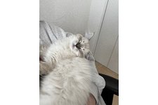 写真5523_4