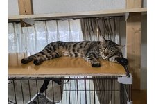 写真5535_3