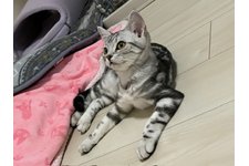 写真5541_1