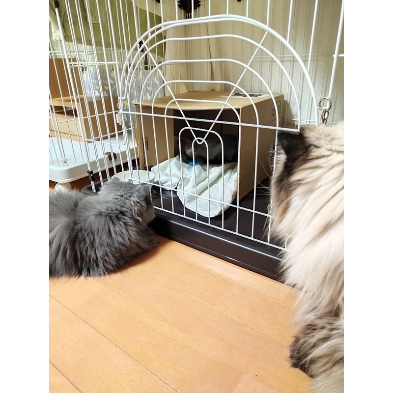写真5547_1